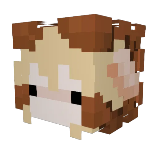 Tr3yal Minecraft avatar head, 3D render