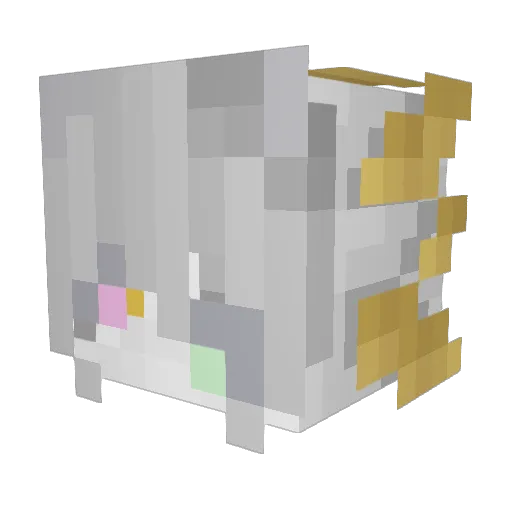 Tr4ckB4ck Minecraft avatar head, 3D render