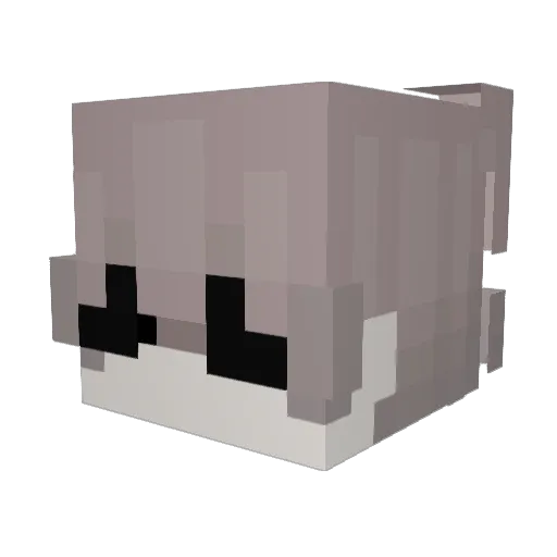 Tr4sh8 Minecraft avatar head, 3D render