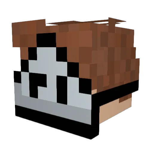 Tr55555 Minecraft avatar head, 3D render