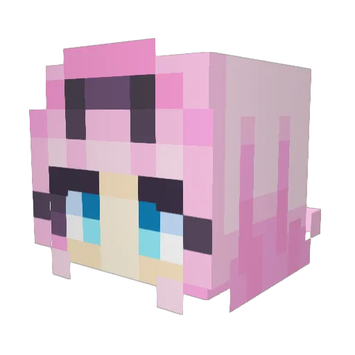 TrAsH_Tubby Minecraft avatar head, 3D render