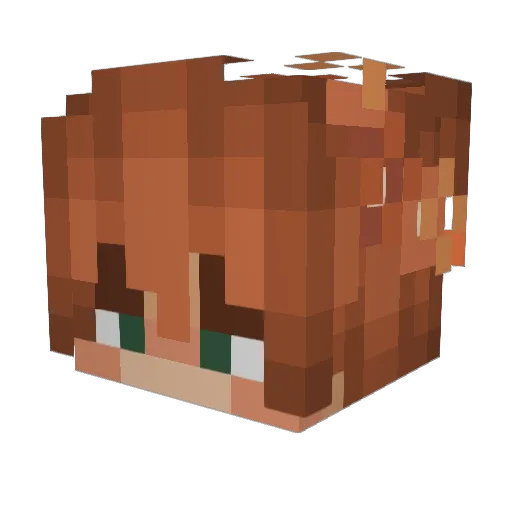 TrINKets_ Minecraft avatar head, 3D render