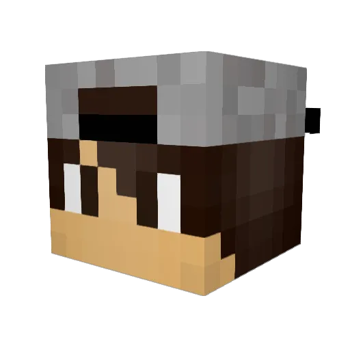 Tr_FrAg Minecraft avatar head, 3D render