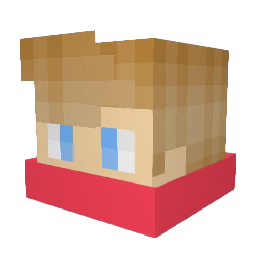 Tr_Simon Minecraft avatar head, 3D render