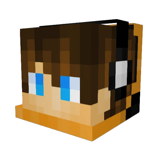 TraQ_ Minecraft avatar head, 3D render