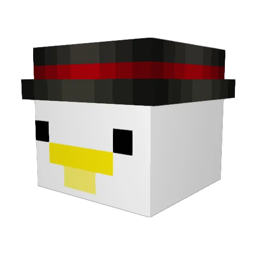 Tra_shI7313 Minecraft avatar head, 3D render