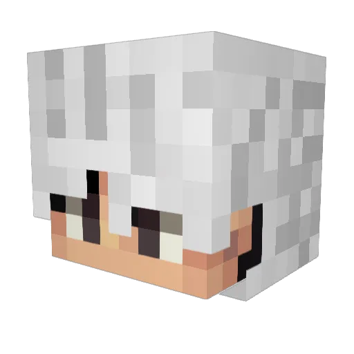 Trablade Minecraft avatar head, 3D render