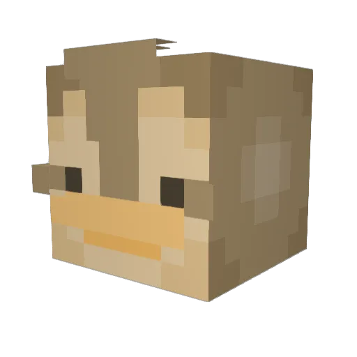 Traboolbool Minecraft avatar head, 3D render