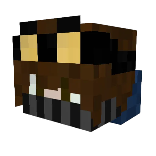 Trace243poke Minecraft avatar head, 3D render