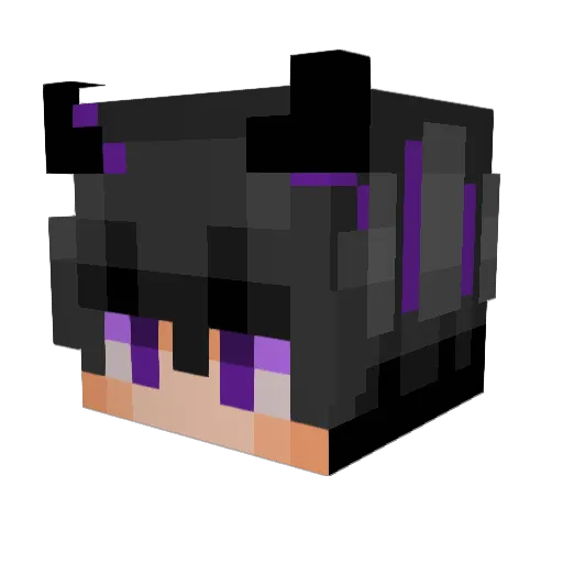 Trace417 Minecraft avatar head, 3D render