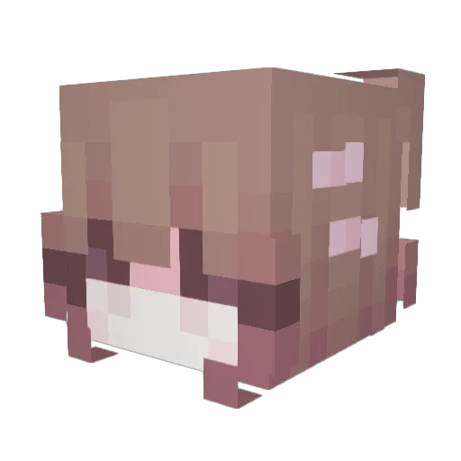 Traceback61 Minecraft avatar head, 3D render