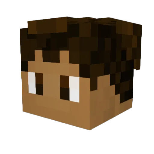 TracerBullet817 Minecraft avatar head, 3D render