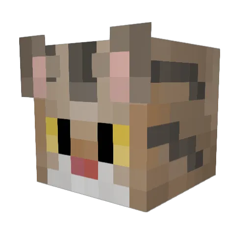 Traceythefox Minecraft avatar head, 3D render