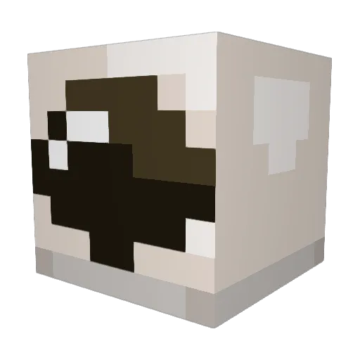 TrackStar__ Minecraft avatar head, 3D render