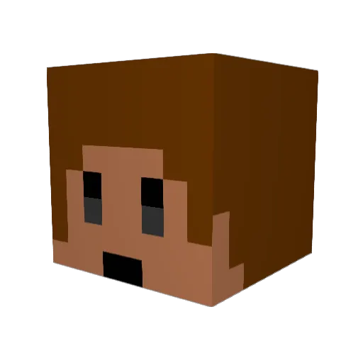 Tracker343 Minecraft avatar head, 3D render