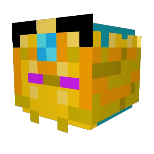 Tracker_98 Minecraft avatar head, 3D render