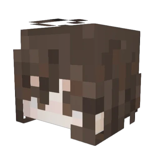 Tractor___ Minecraft avatar head, 3D render