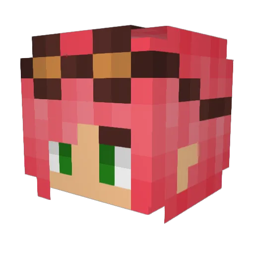 Tracy4191 Minecraft avatar head, 3D render