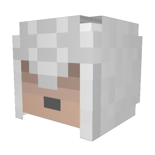 TracyN1 Minecraft avatar head, 3D render