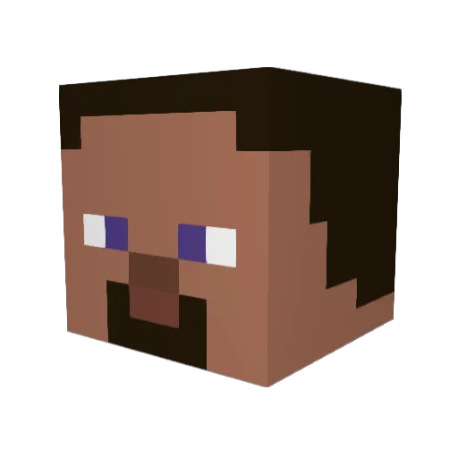 Tracy_4083 Minecraft avatar head, 3D render