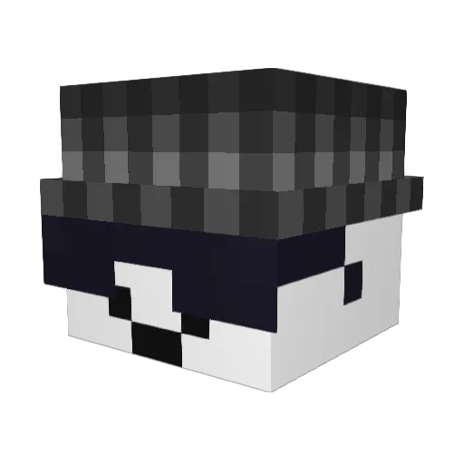 Tradingtea_son_ Minecraft avatar head, 3D render
