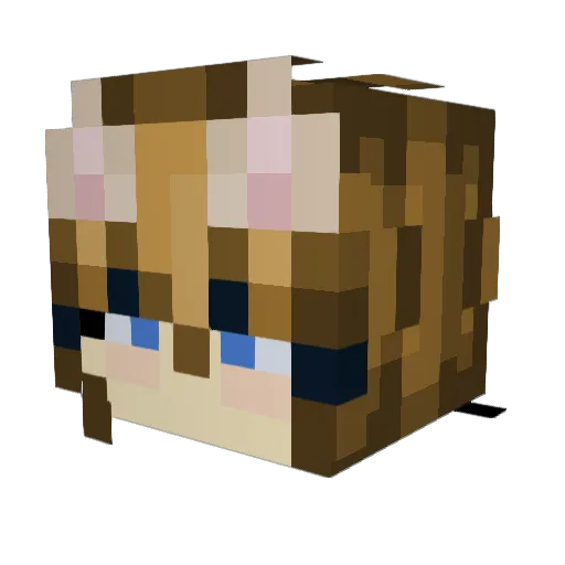 TraditionalWife Minecraft avatar head, 3D render