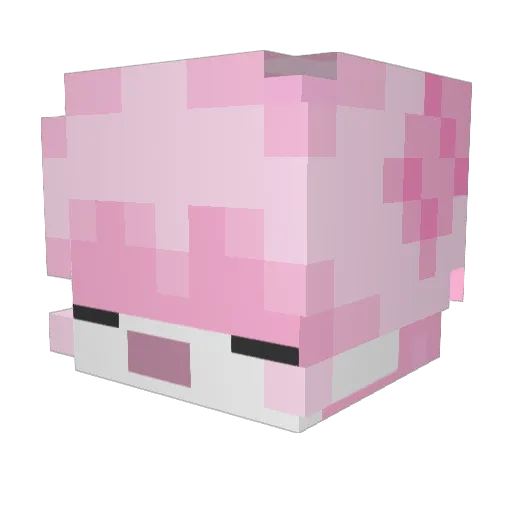 Traes Minecraft avatar head, 3D render