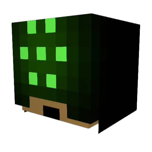 TrafalgerLaw Minecraft avatar head, 3D render