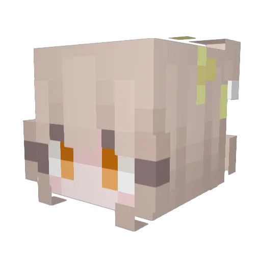 TragicATTENTION Minecraft avatar head, 3D render