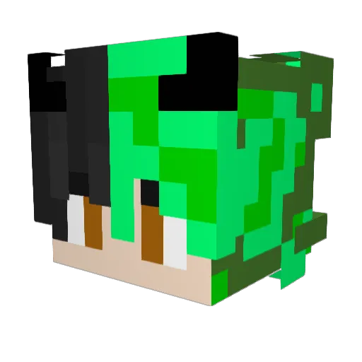 TragicTEC Minecraft avatar head, 3D render