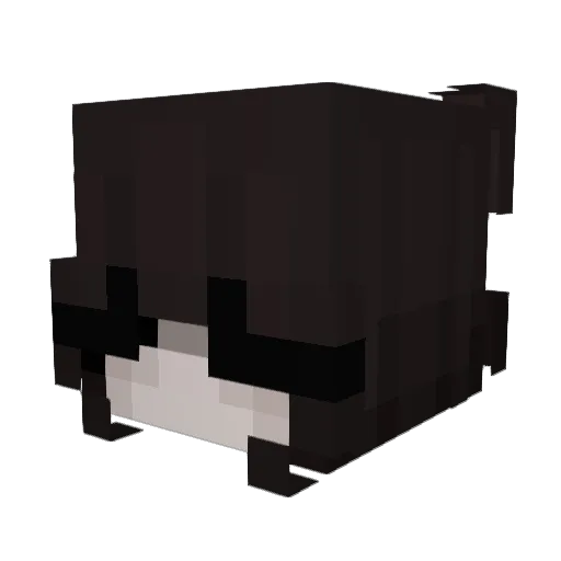 Tragic_Clownfish Minecraft avatar head, 3D render