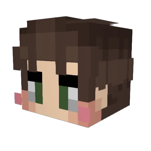 Tragic_rk Minecraft avatar head, 3D render