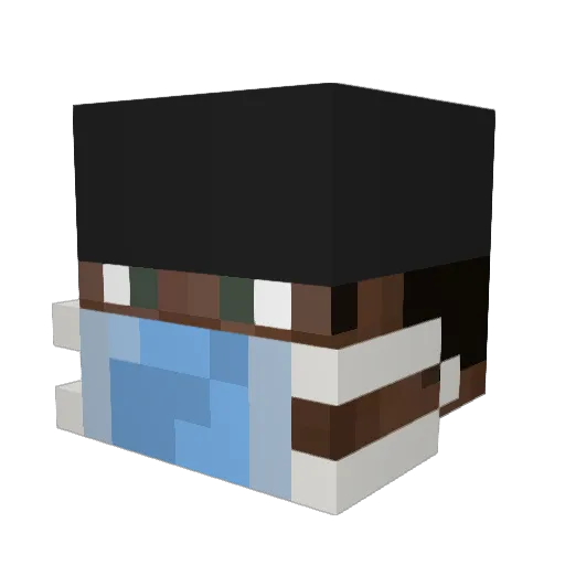 Tragicfall777 Minecraft avatar head, 3D render