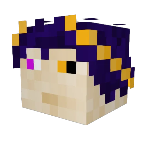 Tragonnuin Minecraft avatar head, 3D render