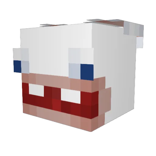 TraiDi Minecraft avatar head, 3D render
