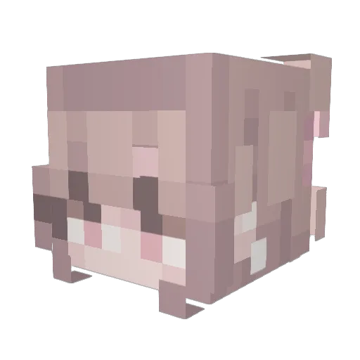 TraiIer Minecraft avatar head, 3D render
