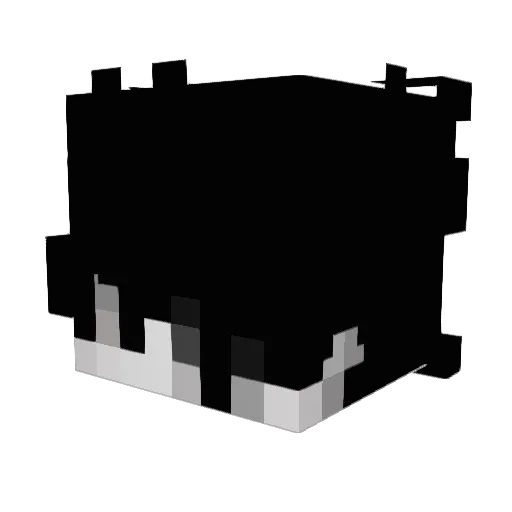 Traian001 Minecraft avatar head, 3D render
