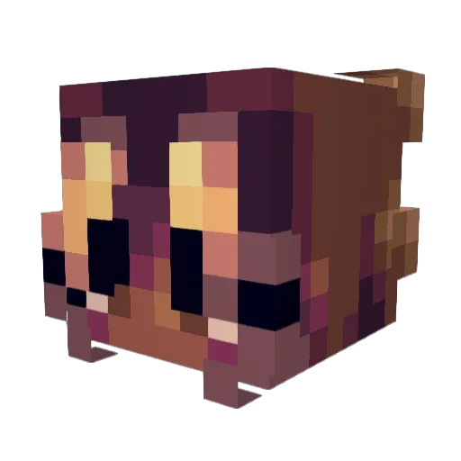 TrailblazeLabel Minecraft avatar head, 3D render