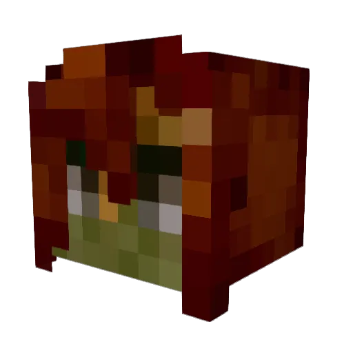 Traill11 Minecraft avatar head, 3D render