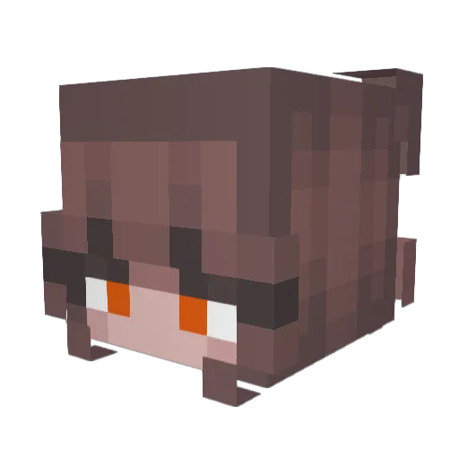 Trailmix01 Minecraft avatar head, 3D render