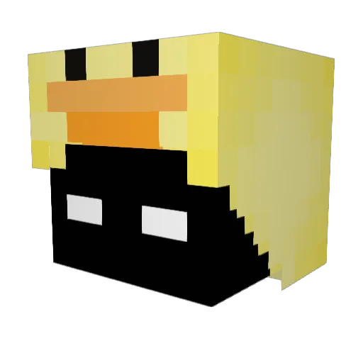 Trailyyo Minecraft avatar head, 3D render