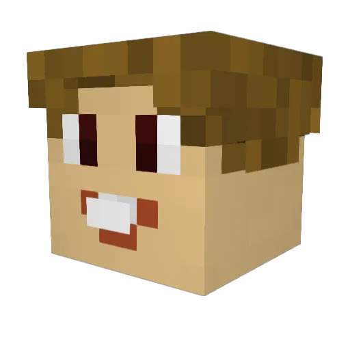 TrainPatrol Minecraft avatar head, 3D render