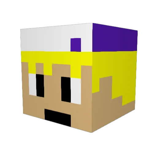 TrainerDusk Minecraft avatar head, 3D render