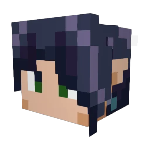 TrainerXiong Minecraft avatar head, 3D render