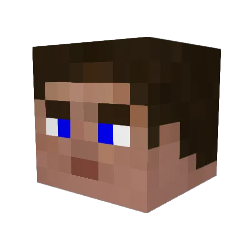 Trainfan11 Minecraft avatar head, 3D render
