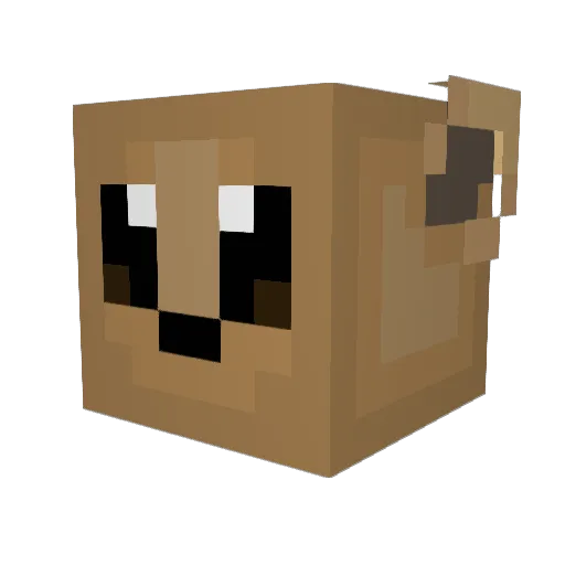TrainingAccountt Minecraft avatar head, 3D render