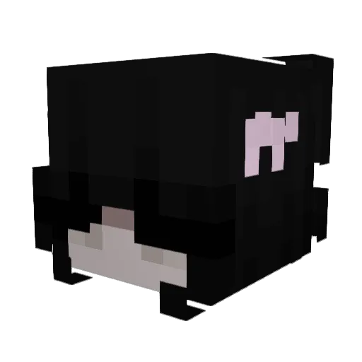 Trainkss Minecraft avatar head, 3D render