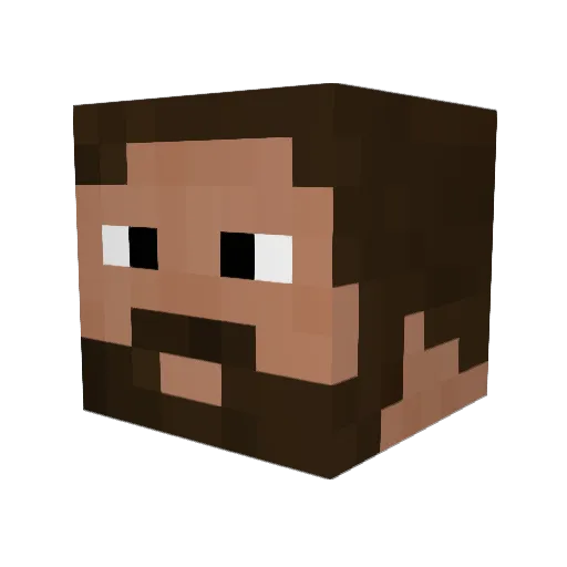 Trainn Minecraft avatar head, 3D render
