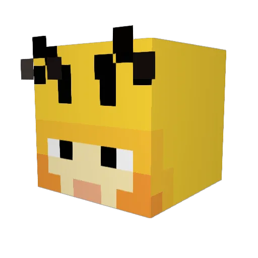 Trainz_Life Minecraft avatar head, 3D render