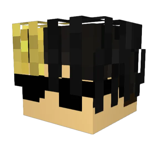 Trak1nas_ Minecraft avatar head, 3D render